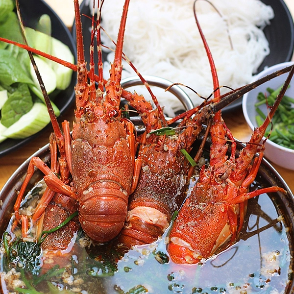 tôm hùm giá sỉ