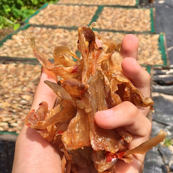 khô ốc móng tay giá sỉ