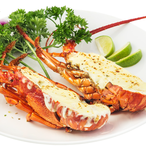 Tôm hùm giá sỉ