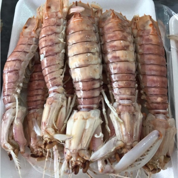 Tôm tít hấp giá sỉ