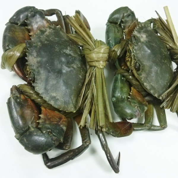 Cua sen giá sỉ